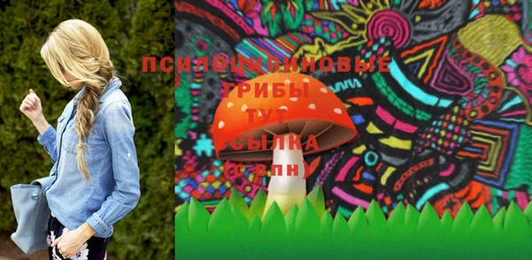 шишки Балабаново
