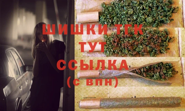 PSILOCYBIN Баксан