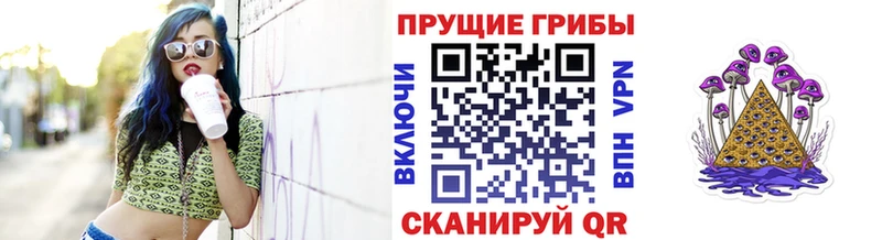 цена наркотик  blacksprut ссылка  Галлюциногенные грибы MAGIC MUSHROOMS  Сегежа 